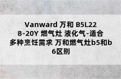 Vanward 万和 B5L228-20Y 燃气灶 液化气-适合多种烹饪需求 万和燃气灶b5和b6区别